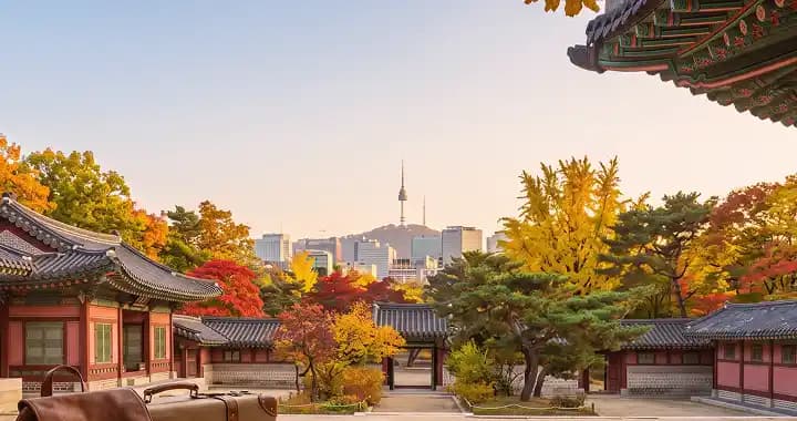 한국/중국